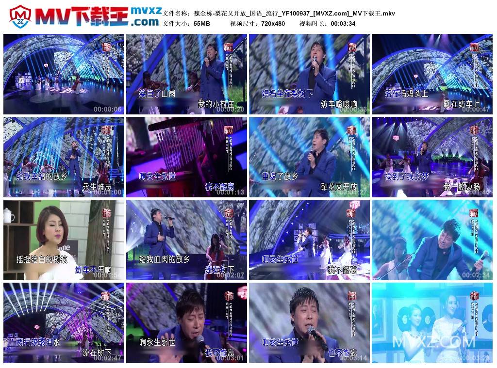 魏金栋-梨花又开放_国语_流行_YF100937